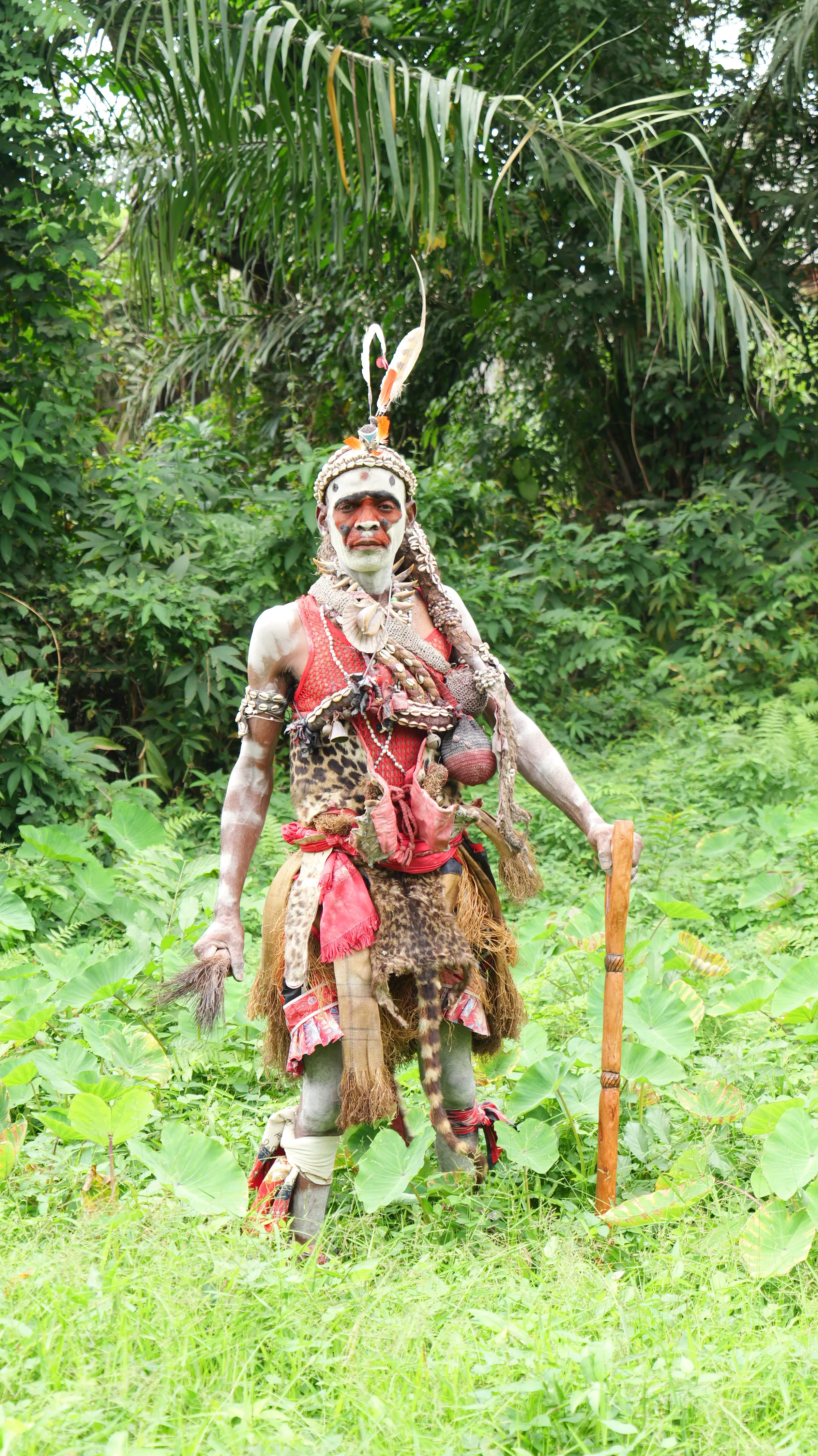 Jacques Makaya Zimamo en tenue traditionnelle d'initié, coiffe de cauris et bâton rituel, dans la végétation du domaine